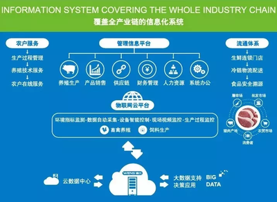 中國生豬產(chǎn)業(yè)企業(yè)數(shù)字化發(fā)展加速 牧原、溫氏、正邦、新希望積極布局